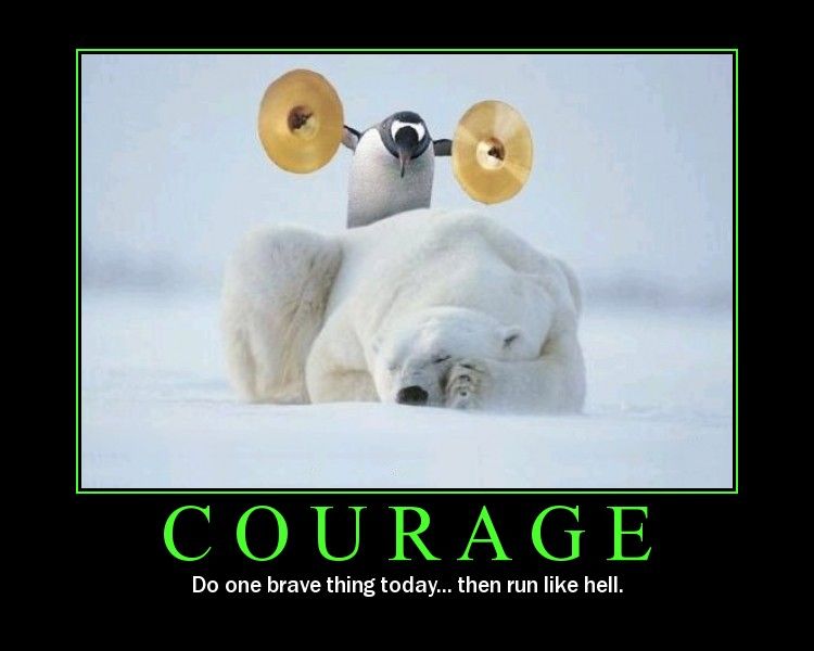 1235676714_1833_FT24621_633492186063852250-courage.jpg