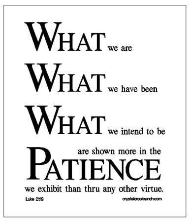 Patience by DWRowan. One of my favorite old sayings. Wise Sayings from